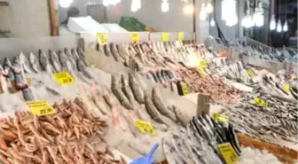 Kocaeli'de Balık Fiyatları