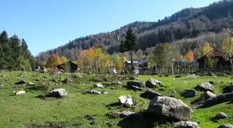 Gümeli Yaylaları Fotoğrafçılar ve Doğaseverlerin Gözdesi Oldu