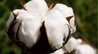 Adana Ticaret Borsası