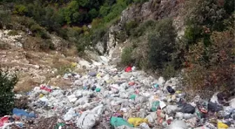 Koçak Kanyonu'nda Doğa Katliamına Tepki