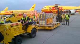 Nesli Tükenmekte Olan Kaplanlar, DHL Express ile Londra'da