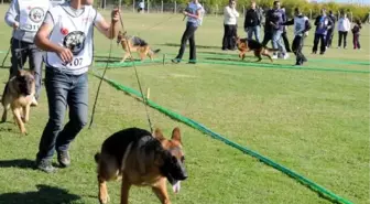1. Wusv Açık Orta Doğu Şampiyonası Antalya'da Yapıldı