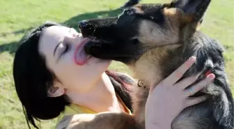 Dünya Alman Çoban Köpeği 1.açık Orta Doğu Şampiyonası