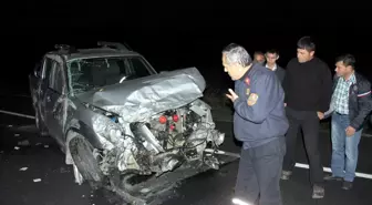 Kara Yolunda Başıboş Eşek Dehşeti
