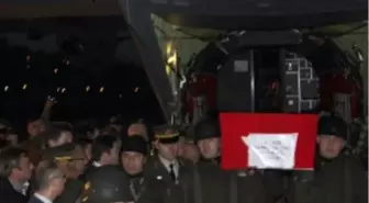 Şehidin Astsubay Ağabeyi: Hoş Geldin Kardeşim