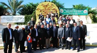 Mersin, Narenciye Ürünleriyle Renkleniyor