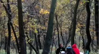 Fatih Ormanı Mesire Yerinde Sözleşme Feshi