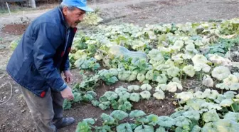 Korkuteli'de 'Ev Tekstil Ürünleri Hazırlama Kursu'