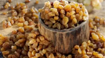 Manisa Ticaret Borsası