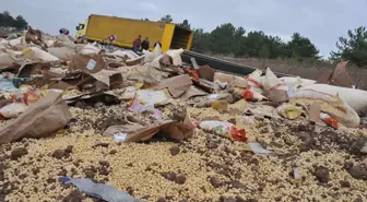 Fındık Yüklü Tır Devrildi: 2 Ölü