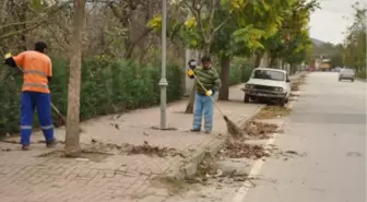 Sapanca'da Sonbahar Temizliği