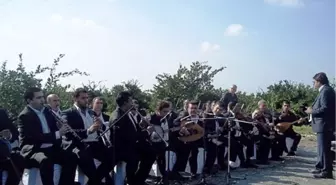 'Turunçgil Festivali Hasat Şenliği'