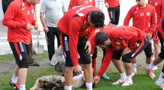 Samsunspor Taktik Çalıştı