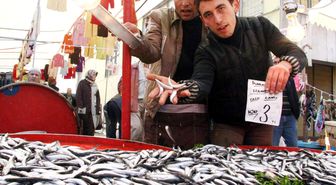 Denizdeki Bereket Hamsiyi 3 TL'ye Kadar Düşürdü
