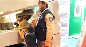 Afet İçin 3 Kurtarma Köpeği Fuarda