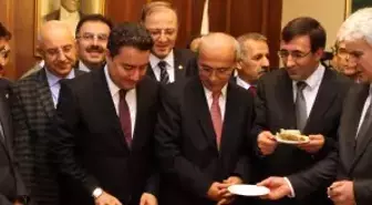 Başbakan Yardımcısı Babacan'a '10. Yıl' Pastası