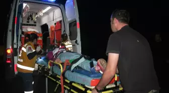 Dubadan Kaçarken Ormana Uçtu: 1 Ağır Yaralı