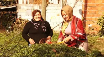 Meksikalı Gelin Rize'yi Sevdi