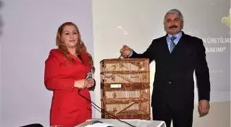 Kader Mahkumlarının 'Kanarya' Sevinci