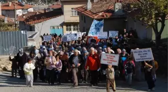 Köylülerden, Taşocağı İçin Ağaç Kesimine Tepki