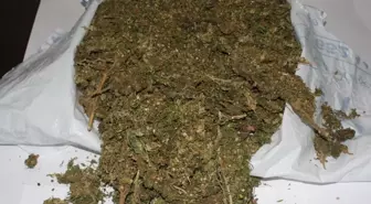 Trabzon'da 13 Kilo 200 Gram Esrar Ele Geçirildi