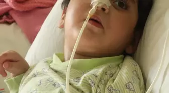 4 Yaşındaki Fatma'nın Dramı