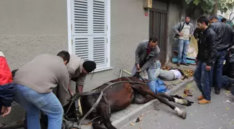 Büyükada'da Fayton Kazası: Faytoncu Öldü, 4 Turist Yaralandı (2)