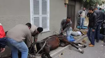 Büyükada'daki Fayton Kazası