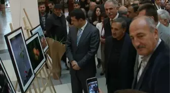 'Güneşin Altın Yumurtası Kayısı' Fotoğraf Sergisi Açıldı
