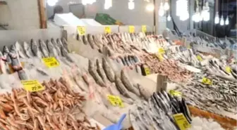 Kocaeli'de Balık Fiyatları