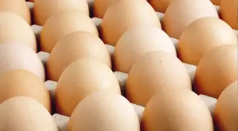 Yumurta Fiyatları