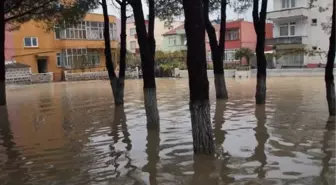 Bayramiç'teki Kuvvetli Yağış