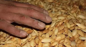 Denizli Ticaret Borsası