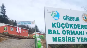 Arıcılar İçin Bal Ormanı ve Mesire Yeri Açıldı