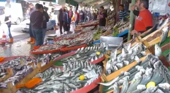 Kocaeli'de Balık Fiyatları
