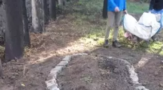 Ölen Yunusun İskeleti Müzede Sergilenecek