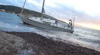 Bodrum'da Fırtına