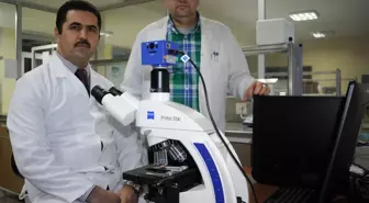 10 Numara Motor Yağı Çevre Düşmanı