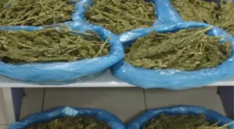 Uşak'ta 3,5 Kilo Esrar Ele Geçirildi