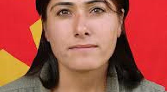 Öldürülen PKK'lı Teröristin Mahallesindeki Korsan Gösteriye 11 Gözaltı