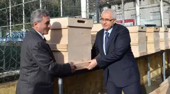 Senoz Vadisinde 30 Çiftçiye 600 Kovan Verildi