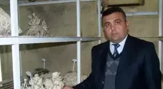 'Kültür Mantarı Zehirlemez'