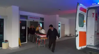 Tarlada Ağaç Keserken Ağır Yaralandı