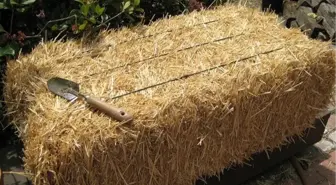 Samanın Fiyatı Arttı, Çoban Maaşları Yükseldi