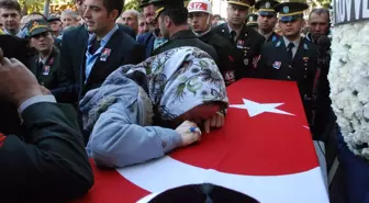 Türkiye'de 2012 Böyle Geçti