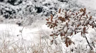 Gümüşhane'de Kış