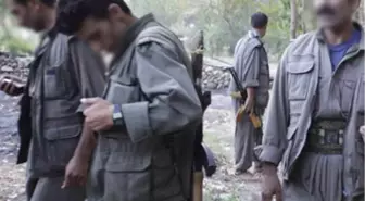 'PKK Ağrı Dağına Çıkışa Para İstiyor'