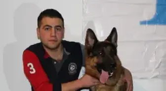 Gaziantep'te 'Köpek Güzellik Yarışması' Düzenlendi