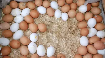 Edremit'te Bakkal Amca'dan Yumurta Ürünleri Tebliğine Tepki