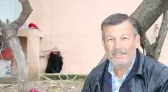 Fethiye'de Erken Çıkan Kuzu Göbeği Şaşırttı